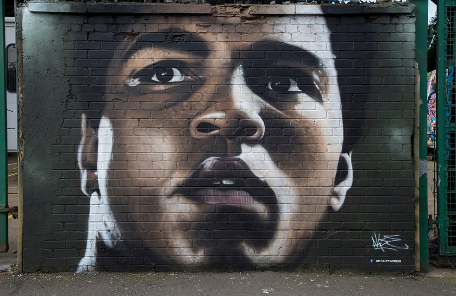 IMG_1474-Ali by Akse-rz.jpg