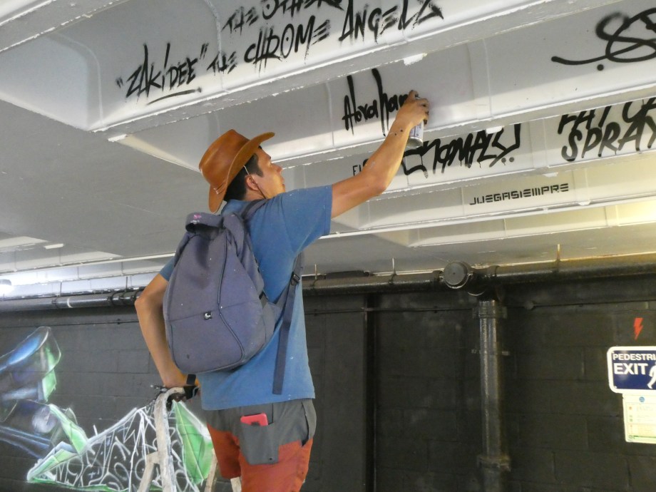 Copy of Copy of P2070610