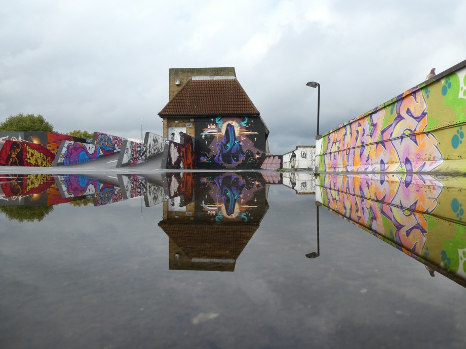 Copy of P2170874 (1)