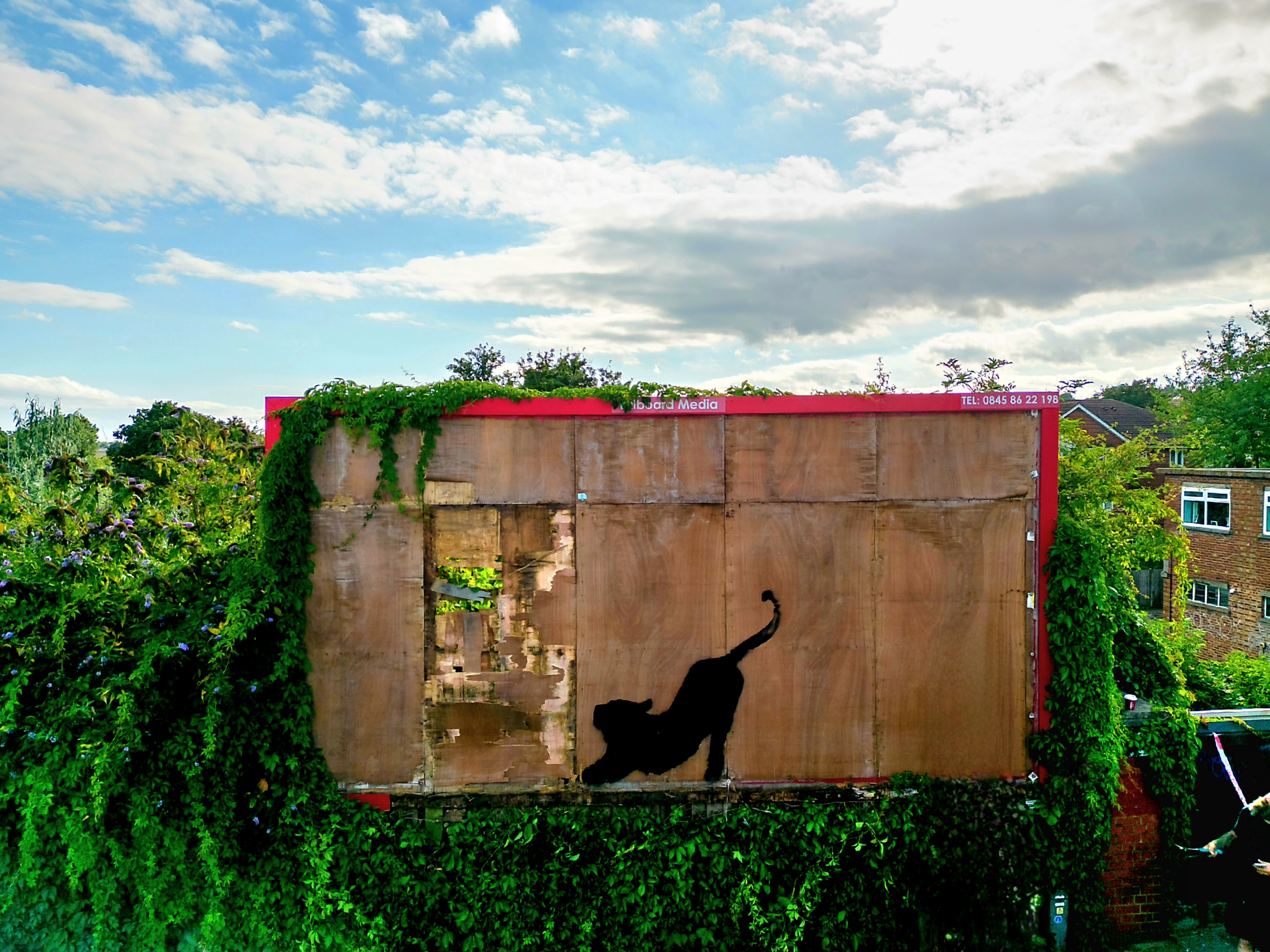 DJI_0682-Enhanced-3 (1)